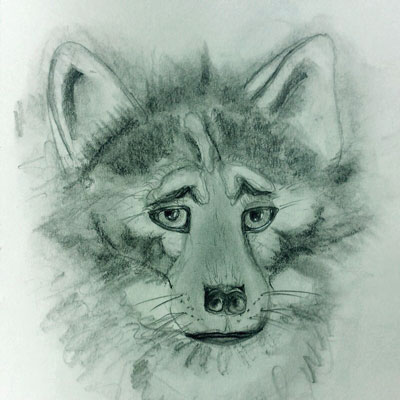 Galerie Bedrohte Tiere