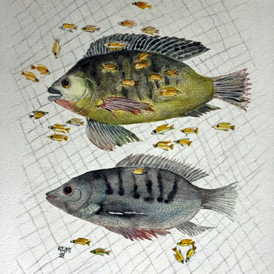 Pflanzen & Tiere in der Bibel